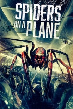 Паучий рейс